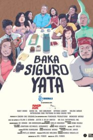 Baka siguro yata (2015)