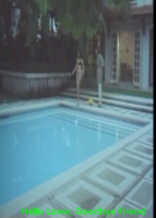 Hello Lover, Goodbye Friend (1985)