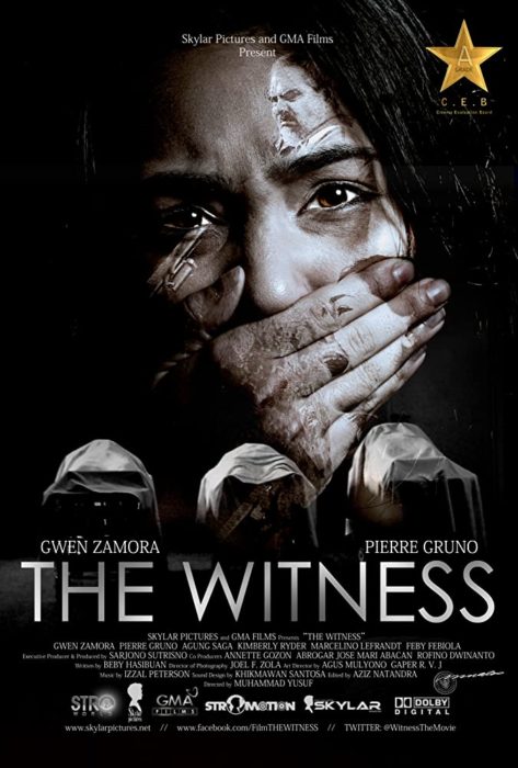 The Witness (2012)