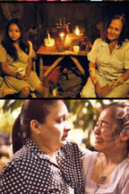 Moonlight Flowers (2017)