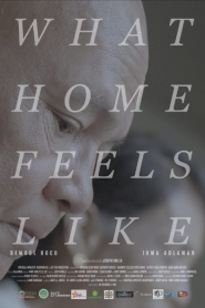 What Home Feels Like (2017)