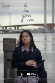 The Neon Across the Ocean (2020)