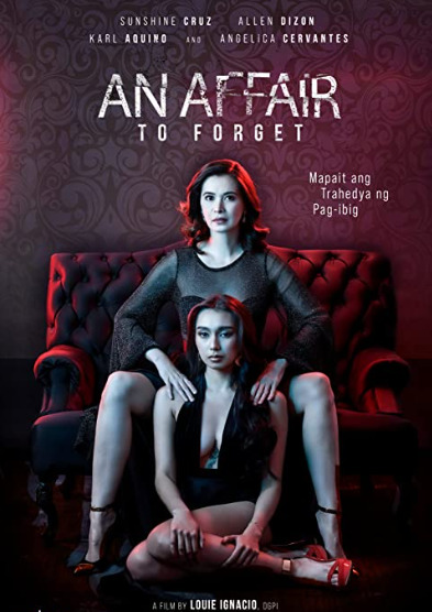 An Affair to Forget (2022)