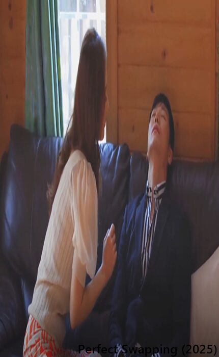 Perfect Swapping (2025)